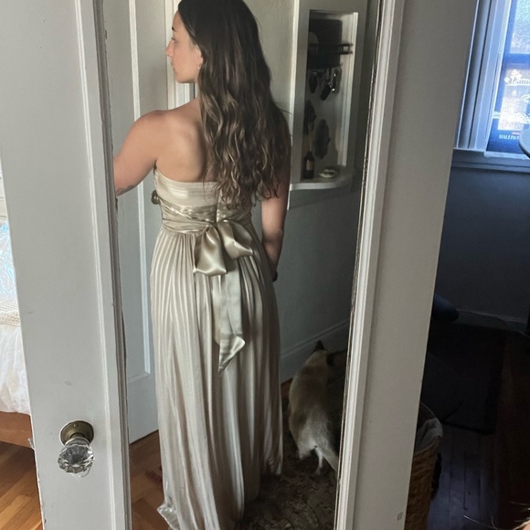 BCBG Maxazria Chiffon champagne floor length dress size 2 - Picture 7 of 8